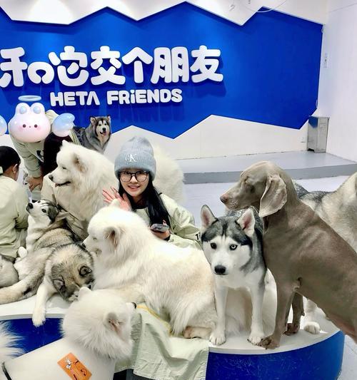 狗狗洗澡频率指南：科学判断与健康养护方法