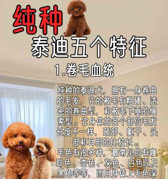 文章详情图片