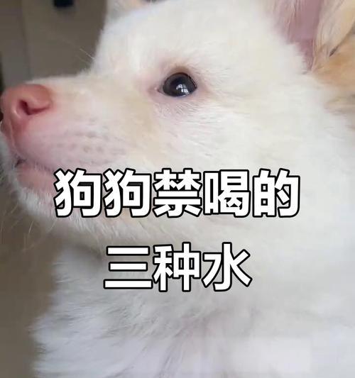 文章详情图片