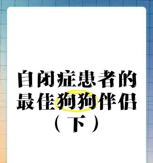 狗狗自闭症的常见症状及应对策略
