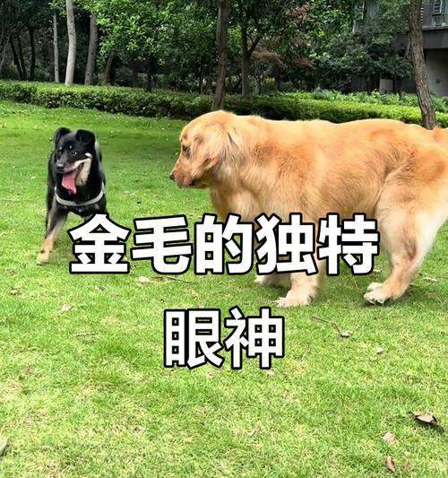 文章详情图片