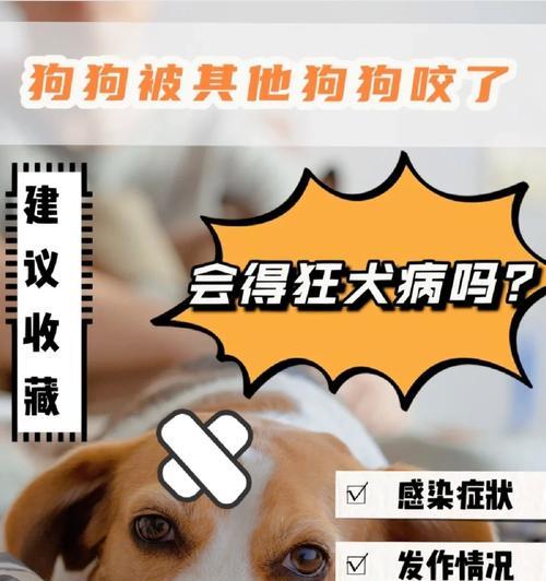 文章详情图片