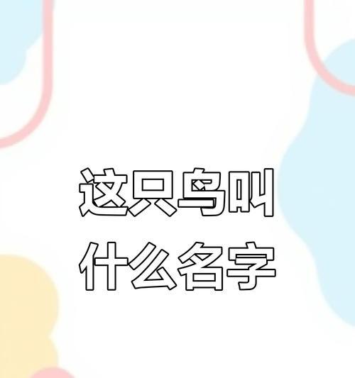文章详情图片