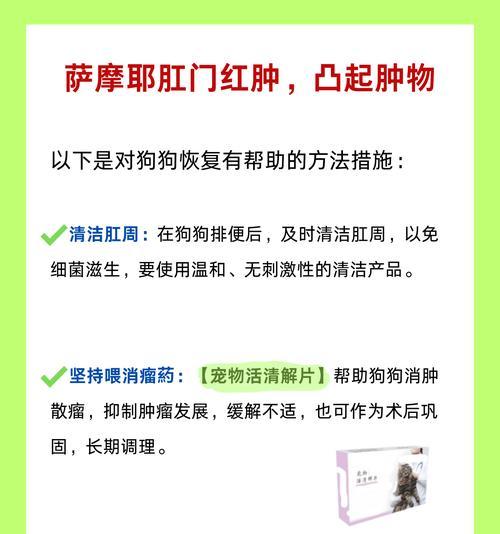 文章详情图片