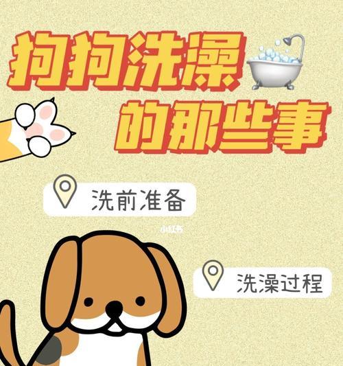 文章详情图片