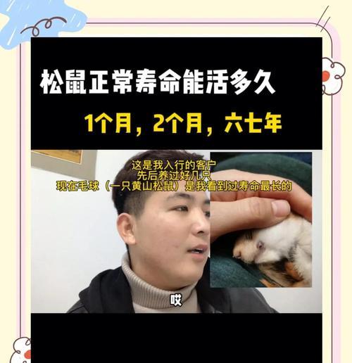 文章详情图片