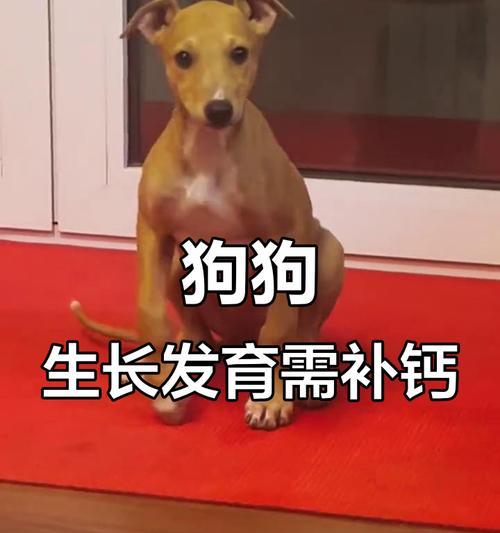 文章详情图片