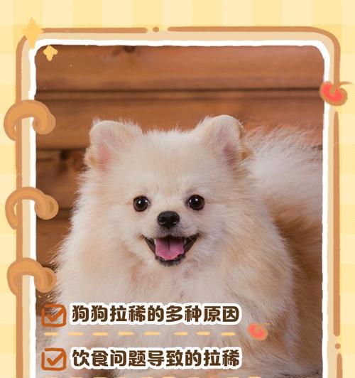 文章详情图片