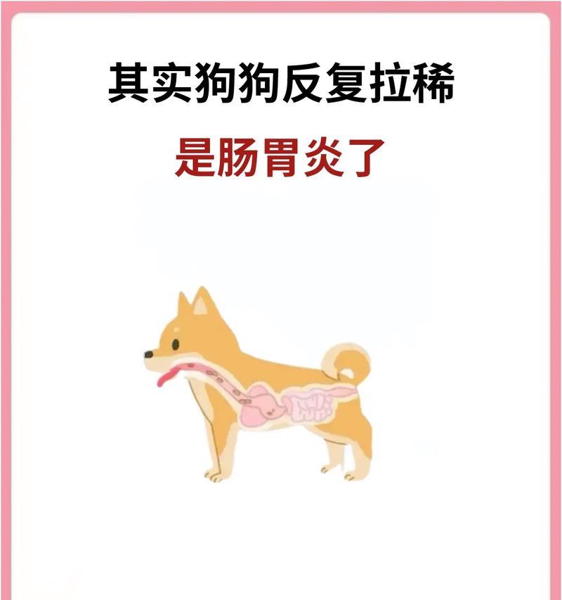 文章详情图片