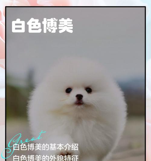 文章详情图片