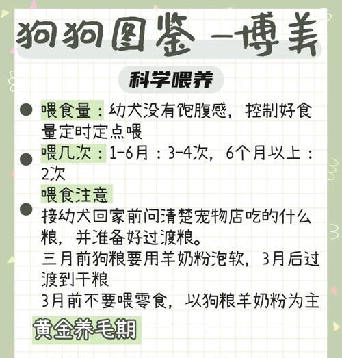 文章详情图片