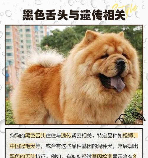 文章详情图片