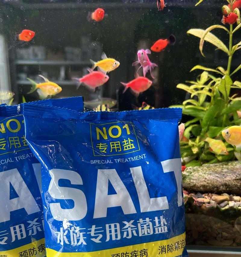 文章详情图片