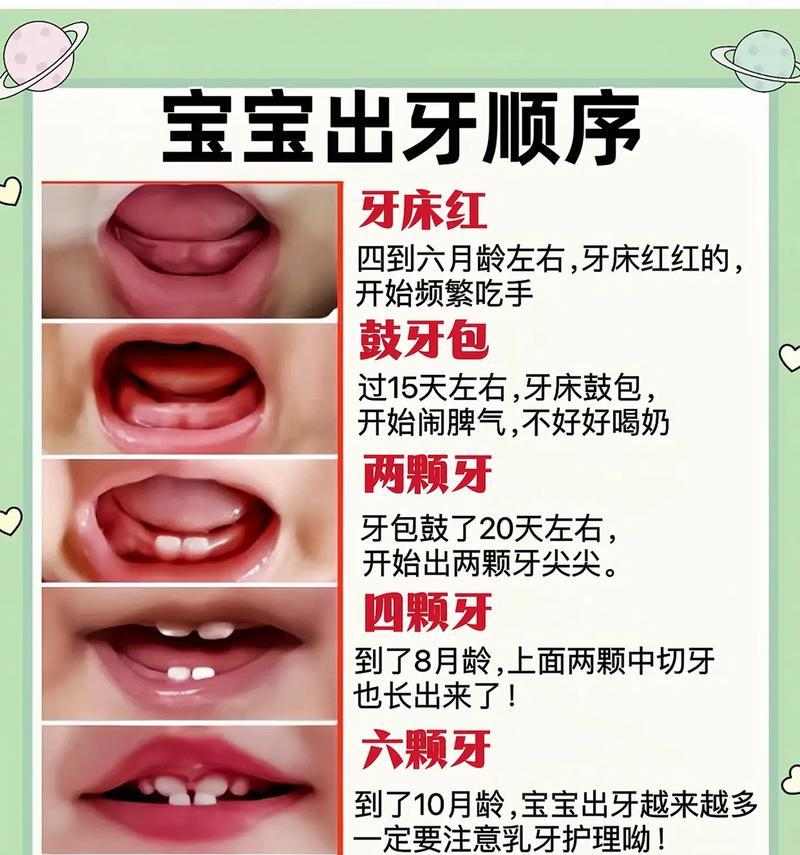 尖牙脱落再生时间与科学养护指南