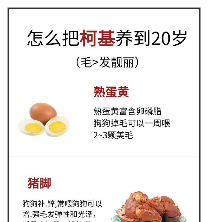 文章详情图片