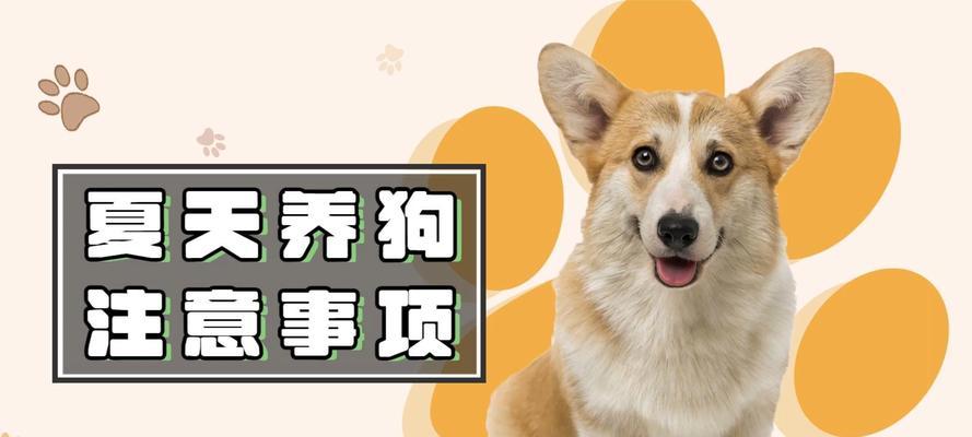 文章详情图片