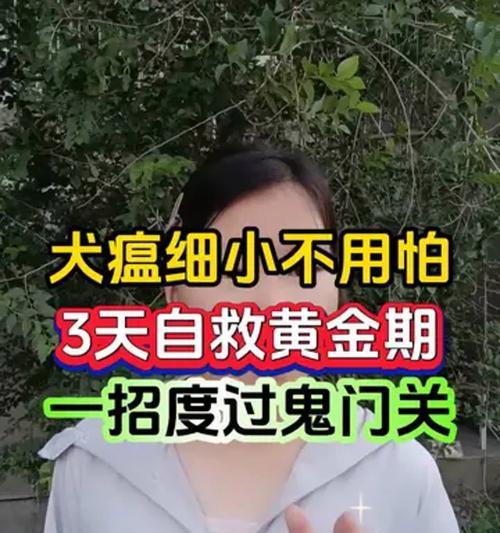 文章详情图片