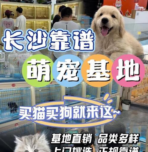 文章详情图片