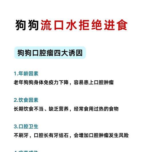 狗狗球虫病禁食期：原理与恢复关键