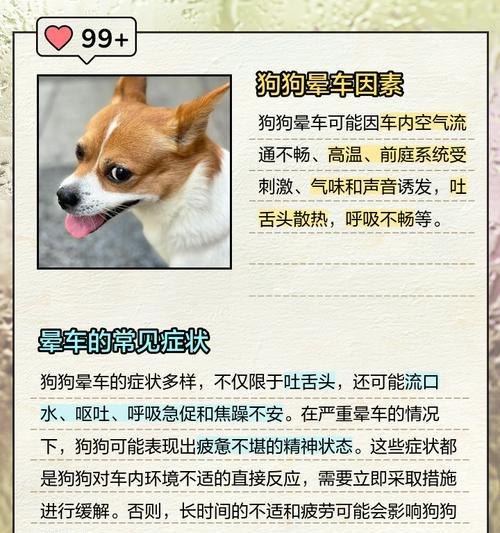 文章详情图片