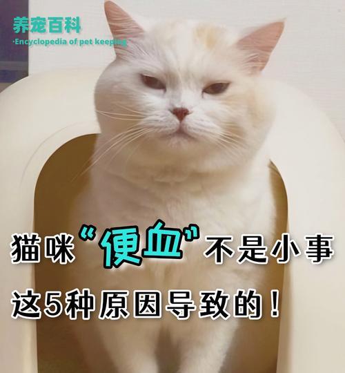 文章详情图片