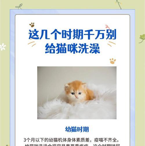 文章详情图片