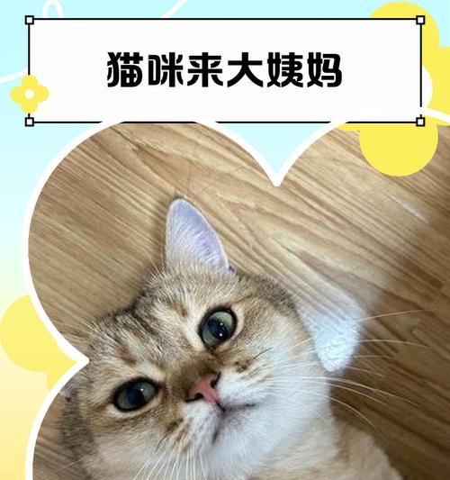 文章详情图片
