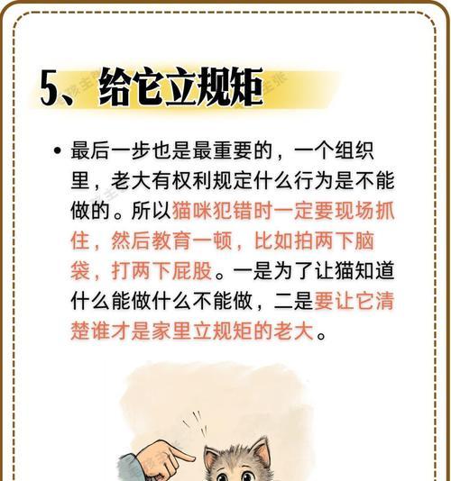文章详情图片