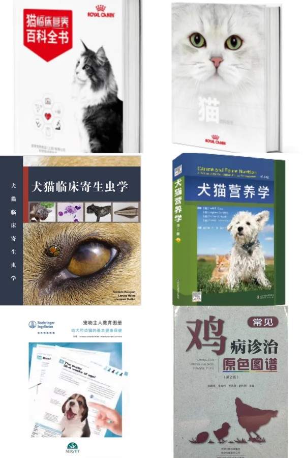 文章详情图片