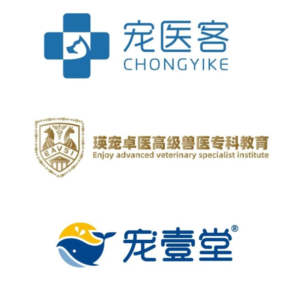 文章详情图片