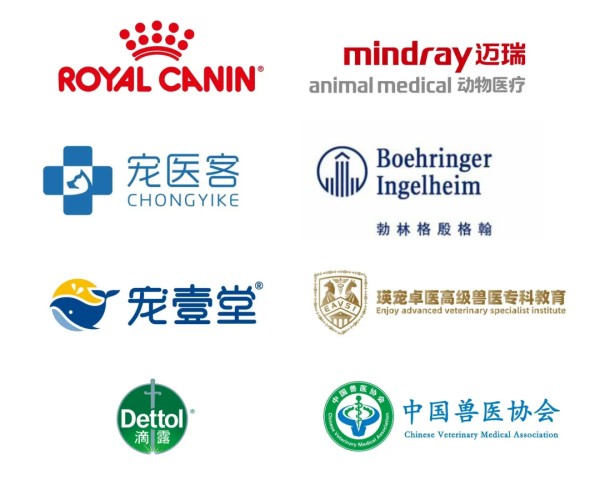 文章详情图片
