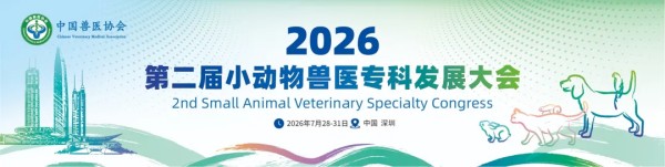 文章详情图片
