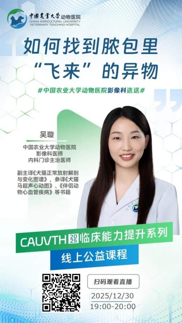 文章详情图片