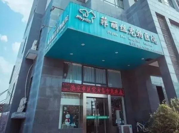 文章详情图片
