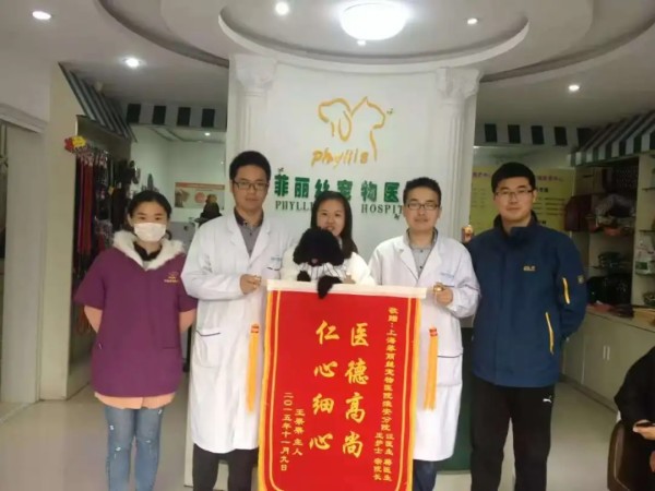 文章详情图片