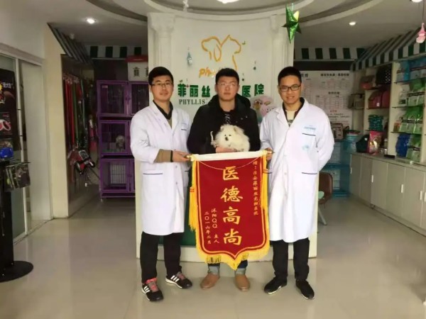 文章详情图片