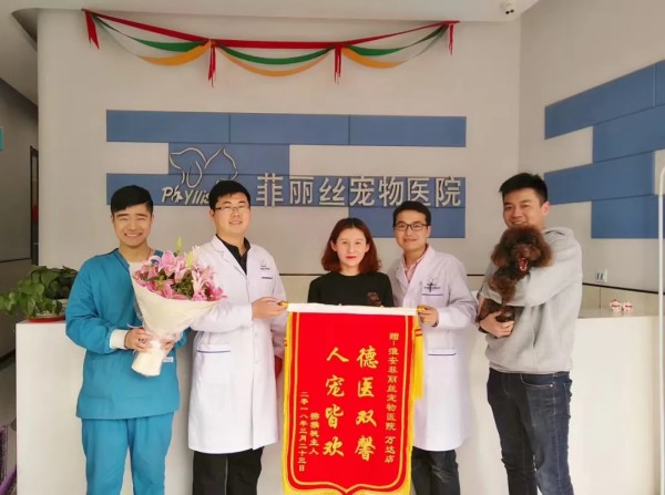 文章详情图片