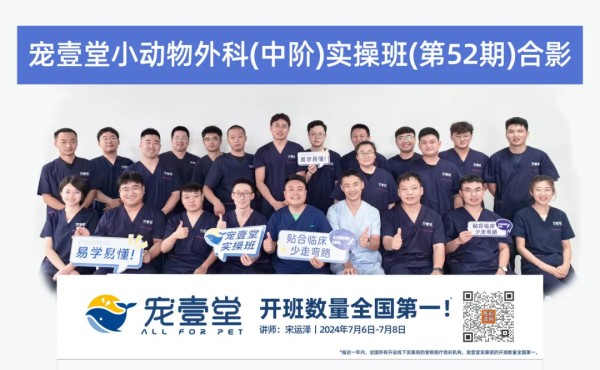 文章详情图片