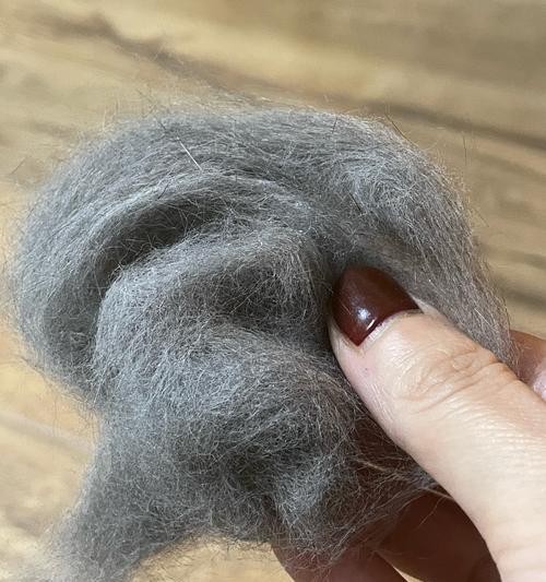 猫咪毛发梳理指南：频率与技巧全解析