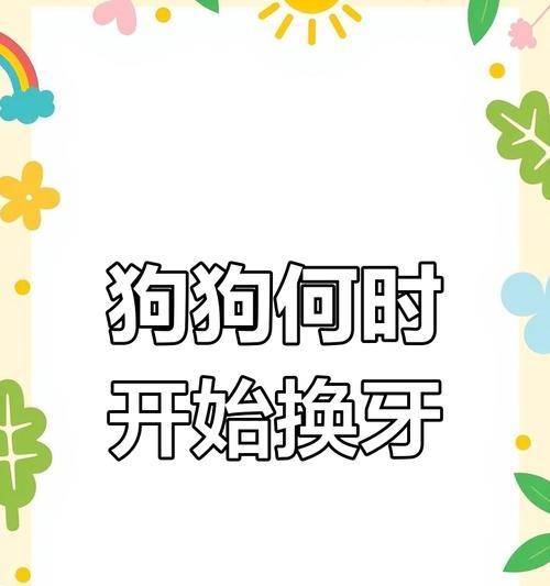 狗的换牙期护理全指南：关键阶段与科学应对