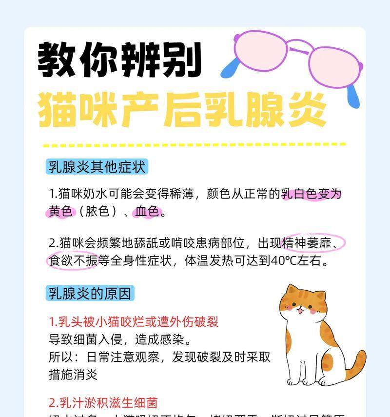 猫咪产后何时开始产奶及哺乳关键要点