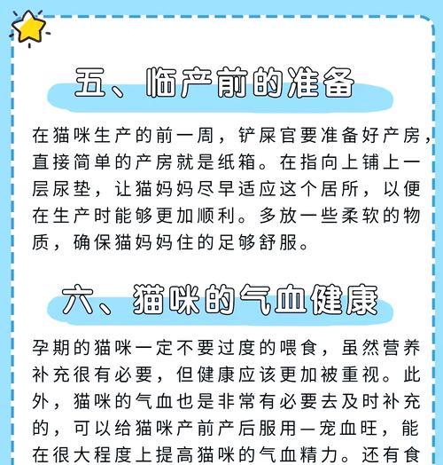 猫咪怀孕期什么时候开始增食？全周期饮食管理指南
