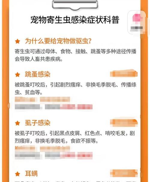 猫咪驱虫注意事项及正确方式详解
