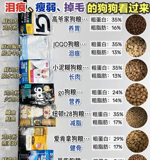 狗狗硬粮过渡全解析：关键阶段与科学喂养方法