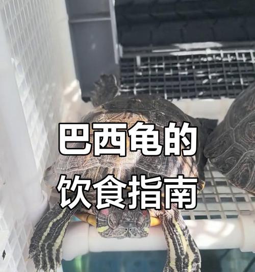 文章详情图片
