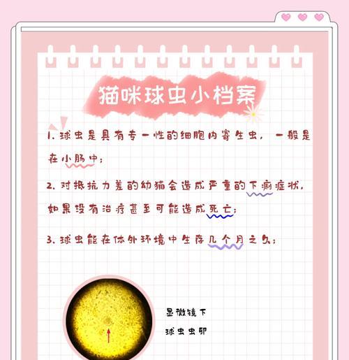 球虫病潜伏期与症状：早期诊断最关键