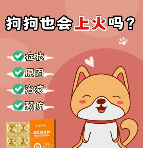 狗狗半夜不停叫？探索原因与实用解决方法