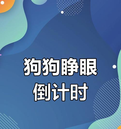 小狗眼睛发育阶段与护理要点全面解析