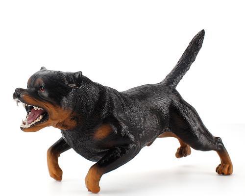 恶霸犬耳朵护理全攻略：预防感染的关键方法