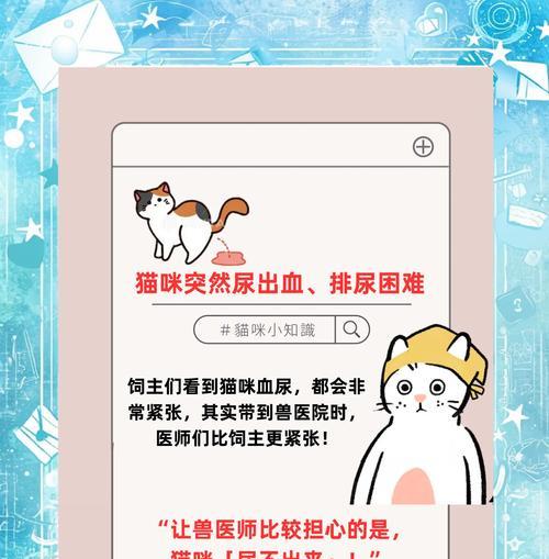 小猫咪健康排尿指南：频率与异常识别